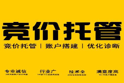 SEM广告案例：数据分析驱动营销决策